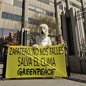 Oso Polar