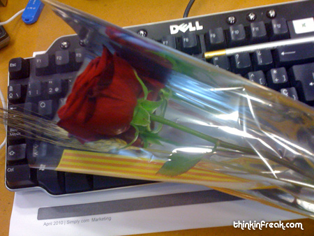 Sant jordi