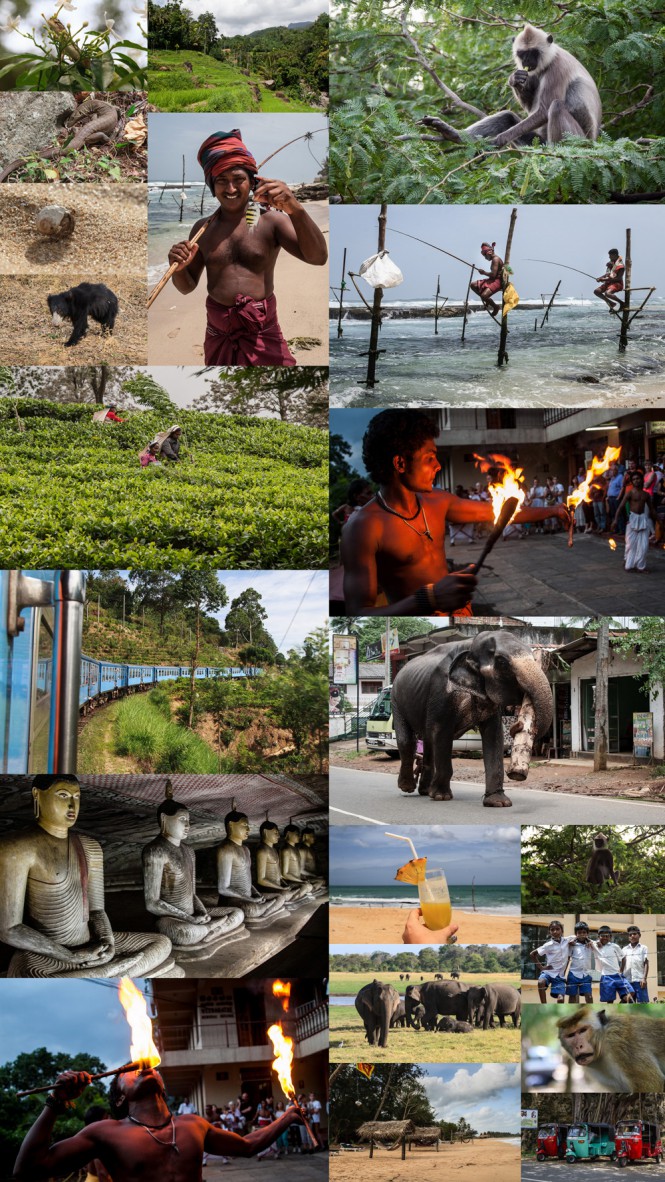 Sri Lanka Collage